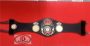 WBA Super Burned Lion championship belt replica with antique-finish lion emblem