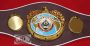 WBO championship belt replica with leather strap and gold-plated center plate