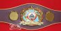 WBO Super Championship belt replica with maroon leather strap and gold-plated oval center plate