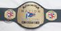 Custom championship belt with tan leather strap and gold plates