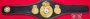 WBA Close Crown championship belt replica, close-up of center plate
