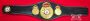 WBA Open Crown belt replica, close-up of center plate