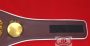WBO championship belt replica, close-up of center plate