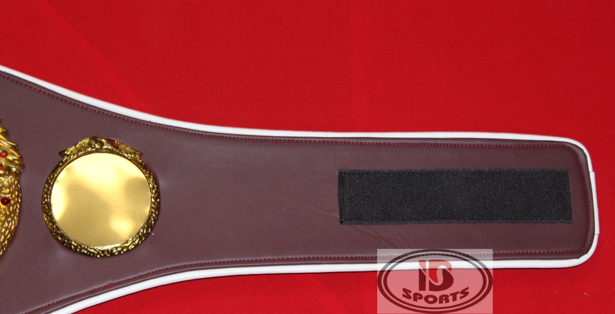 WBO championship belt replica, close-up of center plate