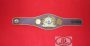 WBO Super Championship belt replica, close-up of oval center plate