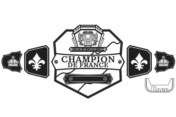 Custom belt order process, step 2