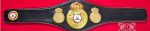 WBA Close Crown - angled close-up of closed gold crown center medallion detail