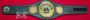 IBO World Championship belt replica, side plate detail
