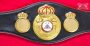 WBA Close Crown championship belt replica, side plate detail