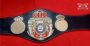 WBA New Super Lion belt replica, close-up of lion emblem