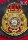 WBA Super Champion Lion belt replica, strap detail