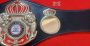 WBA New Super Lion belt replica, side plate detail
