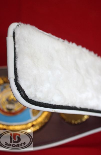 WBO championship belt replica, leather strap detail
