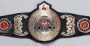 Custom championship belt with gold and purple patterned strap