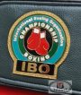 IBO World Championship belt replica, back of belt