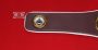 WBO championship belt replica, back of belt