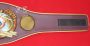 WBO Super Championship belt replica, back of belt