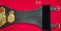WBA Super Champion Lion belt replica, back of belt