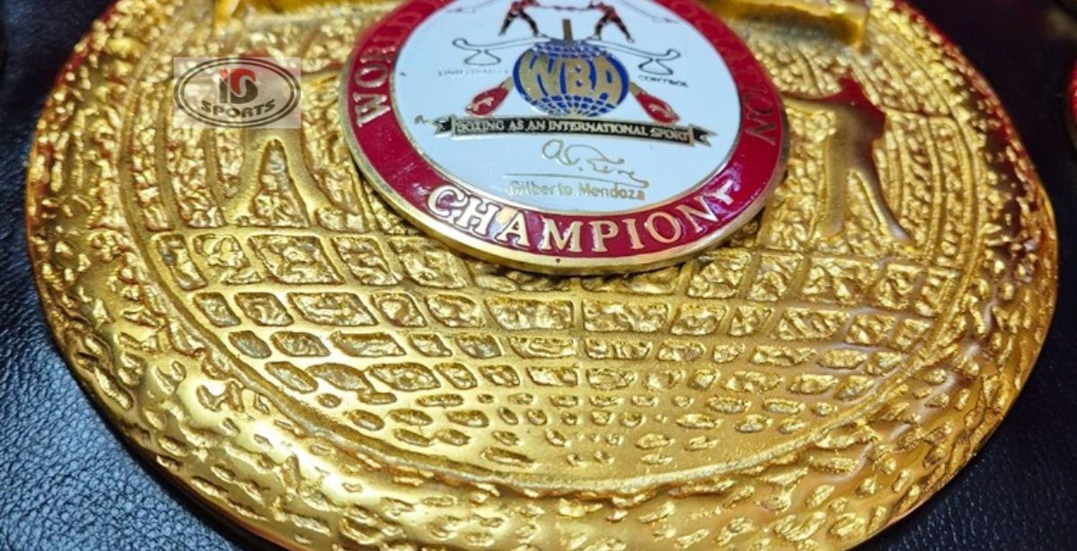 6 WBA Open Crown belt replica, full-length view