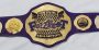 Custom championship belt with purple leather strap and gold eagle crest