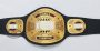 Custom championship belt with black strap and ornate gold-and-silver plates