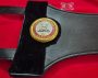 WBA Super Champion Lion belt replica on display stand