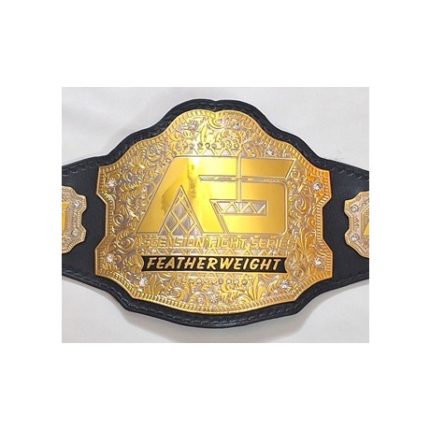 Custom featherweight championship belt, cropped for featured display