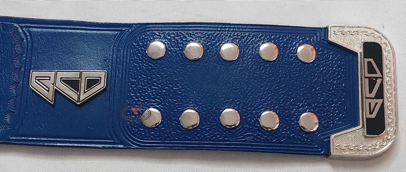 BCD Tag Team side tip BCD Tag Team custom belt reference example, side plate detail