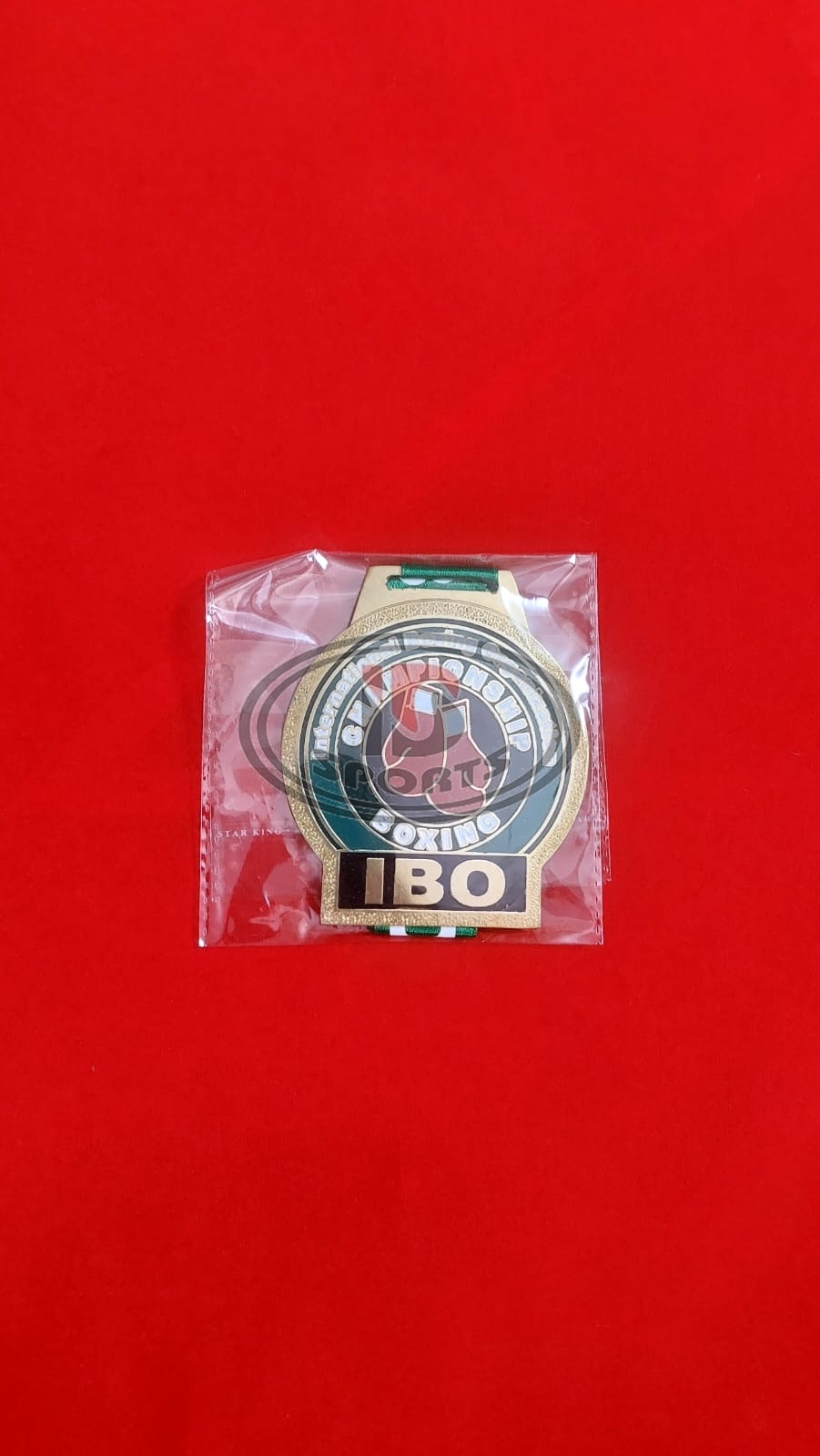 IBO custom brass medal, reverse side
