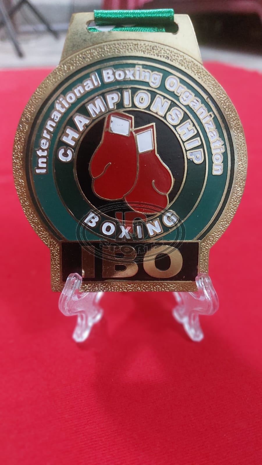IBO custom brass medal, additional view