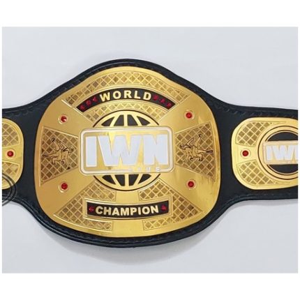 Custom world champion belt, cropped for featured display