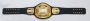 IWN World champion custom belt reference example
