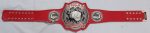 Custom championship belt manufactured by Ibrahim Sports