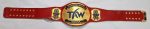 Custom cruiserweight championship belt manufactured by Ibrahim Sports