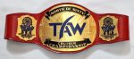 Custom cruiserweight championship belt manufactured by Ibrahim Sports