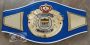 Custom boxing championship belt with blue leather strap and gold crown emblem