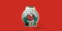 IBO custom brass medal with ribbon