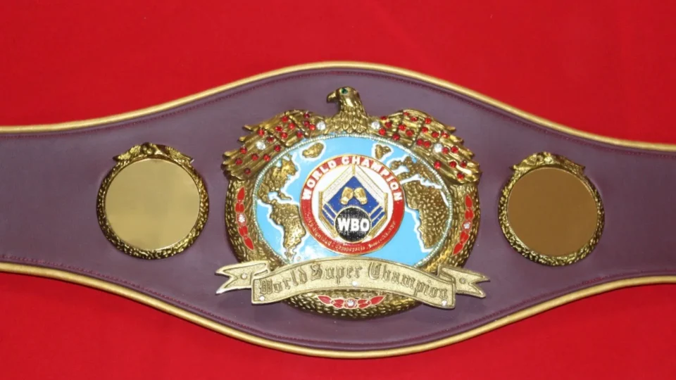 Close up of glass stones and baked enamel color on a gold plated championship belt side plate