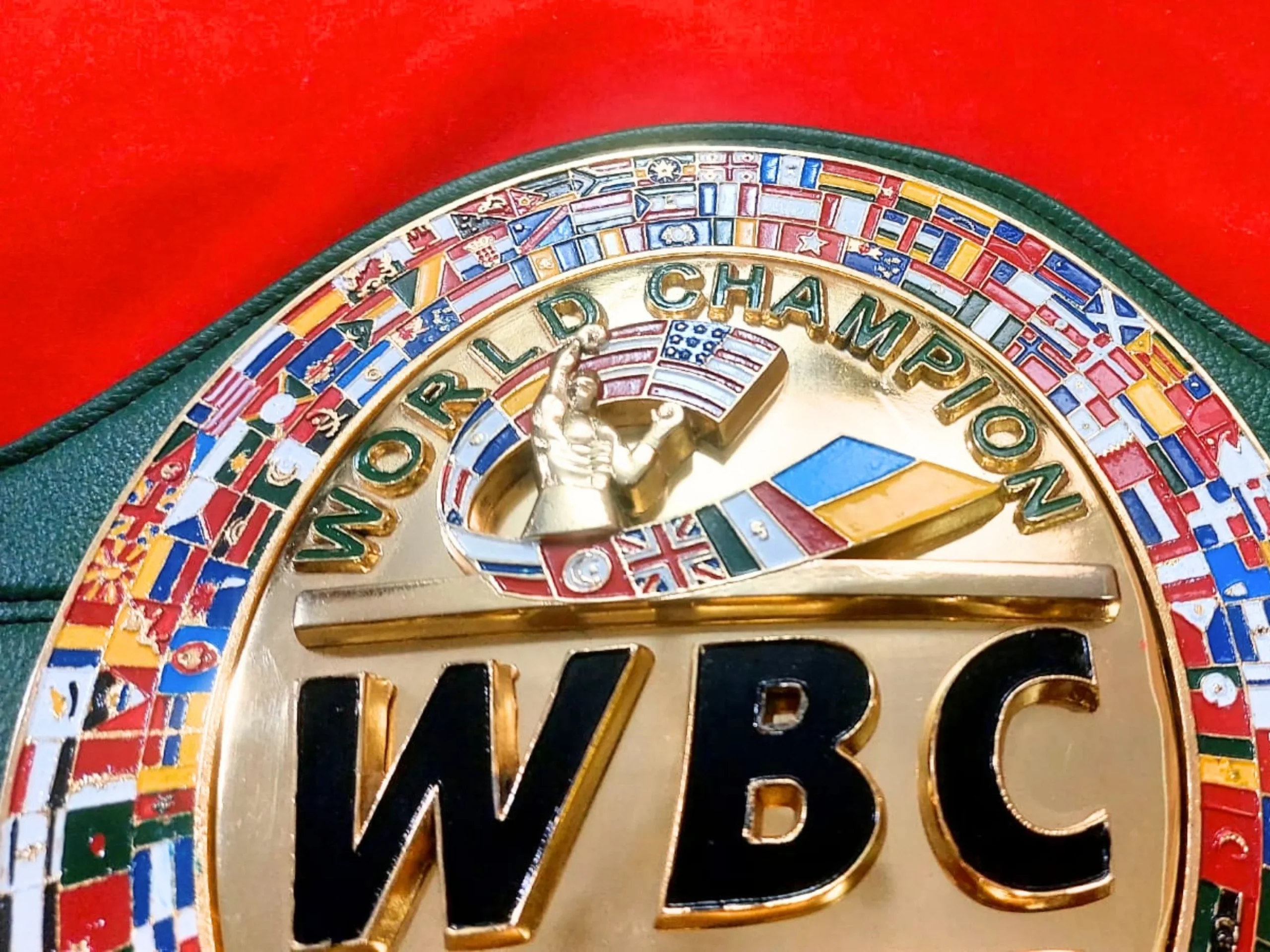 wbc world boxing council ukraine belt (10)