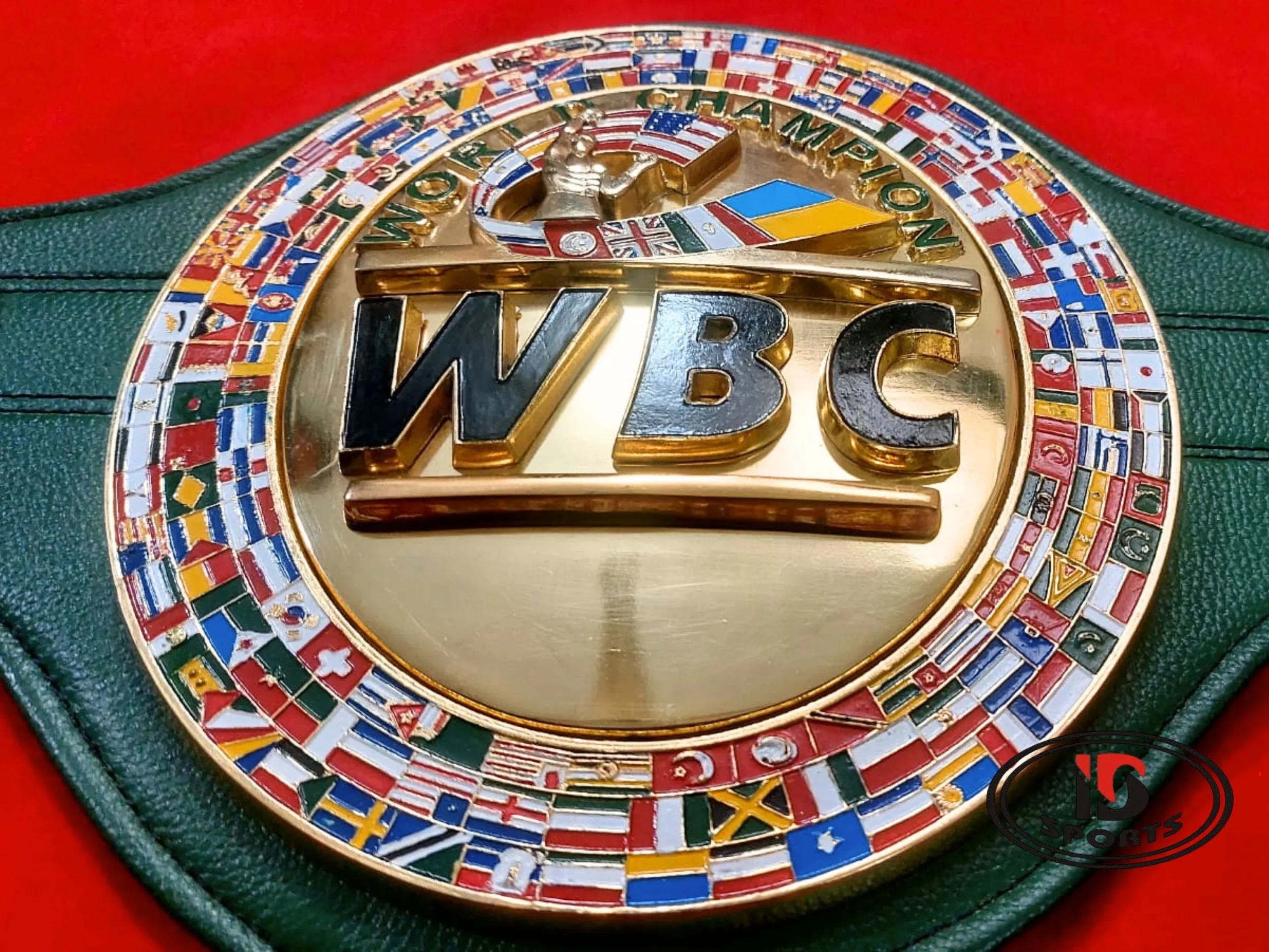 wbc world boxing council ukraine belt (11)
