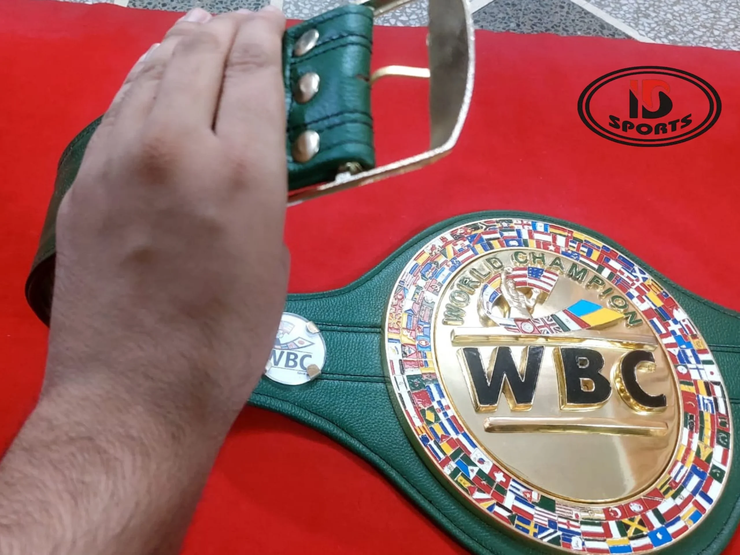 wbc world boxing council ukraine belt (12)