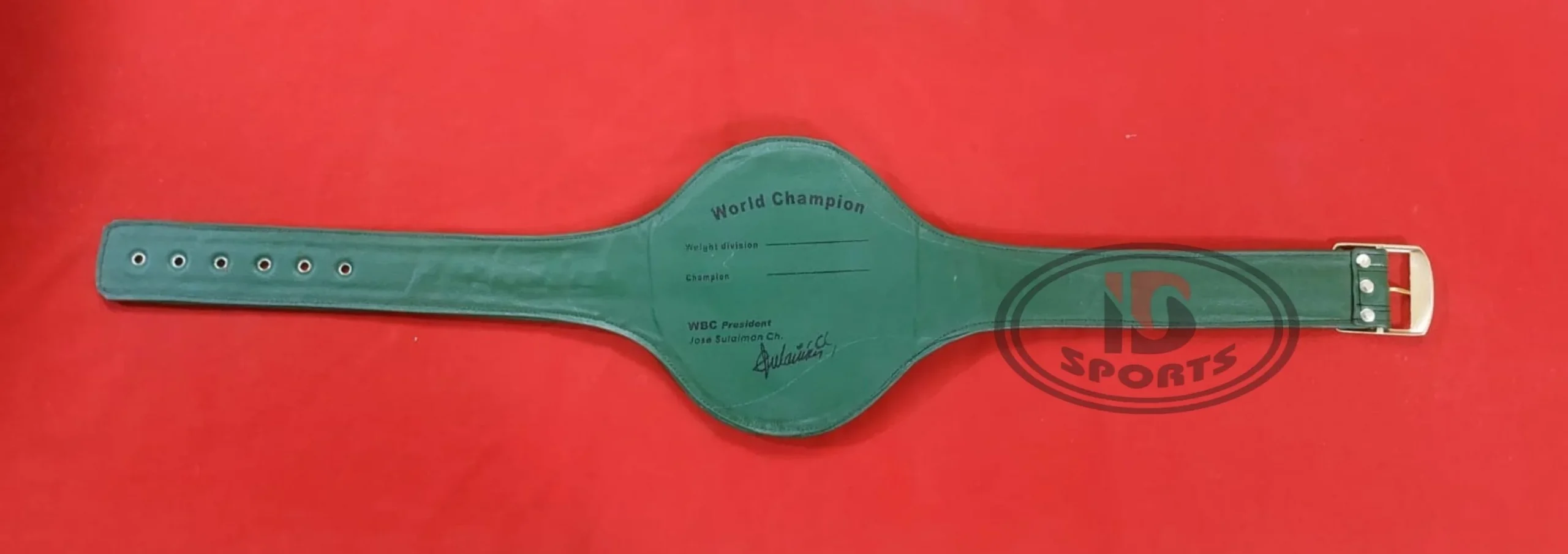 wbc world boxing council ukraine belt (2)