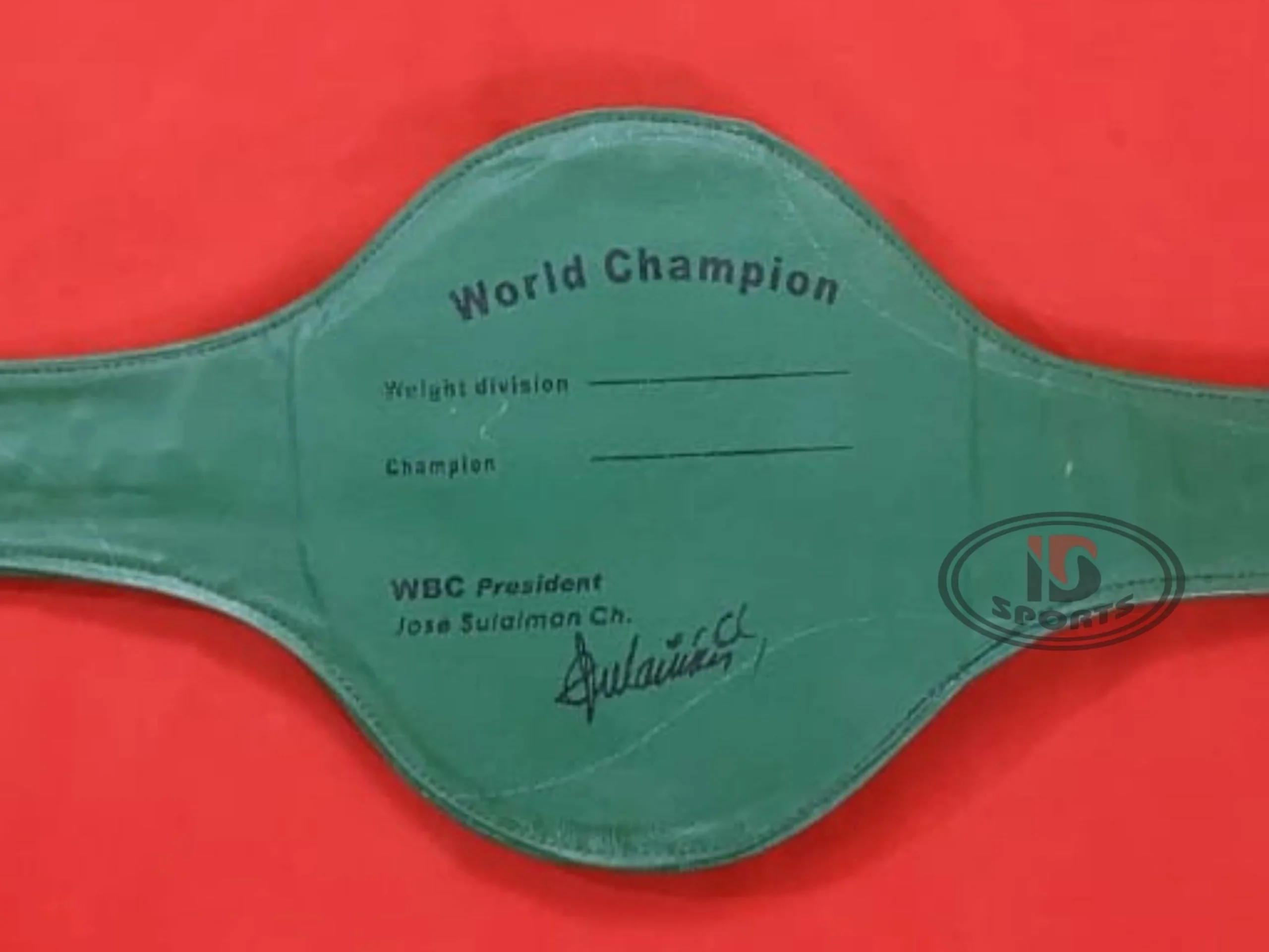 wbc world boxing council ukraine belt (3)